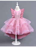 Princess Dress Girls' Spring and Autumn Dress Party Dress
