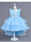 Princess Dress Girls' Spring and Autumn Dress Party Dress