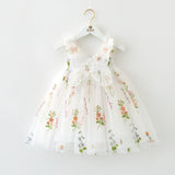 Butterfly Wings Mesh Dress