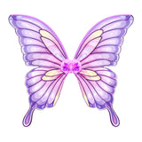 Easter Day Colorized Butterfly Wings