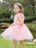 Valentine's Day Love Mesh Dress