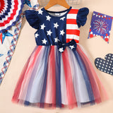 Independence Day Star Striped Print Flutter Sleeve Mesh Dress