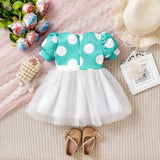 Cute Princess Mesh Dress