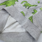 Dinosaur Pattern Boy's round Neck Sweater
