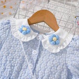 Cute Three-Dimensional Embroidery Dress
