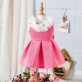 Lace Sleeveless Butterfly Dress