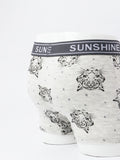 Boy's Dinosaur Printed Underpants