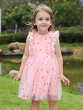 Valentine's Day Love Mesh Dress
