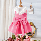 Lace Sleeveless Butterfly Dress