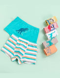 Dinosaur Print Boxer Shorts - CCMOM