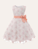 Floral Embroidered Mesh Dress - CCMOM