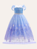 Frozen Mesh Party Dress - CCMOM