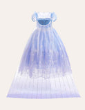 Frozen Mesh Party Dress - CCMOM