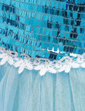 Frozen Mesh Party Dress - CCMOM