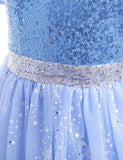 Frozen Mesh Party Dress - CCMOM