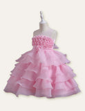 Mesh Sleeveless Party Dress - CCMOM