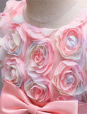 Toddler Kid Girl Rose Dream Bowknot Mesh Party Dress - CCMOM